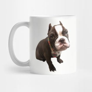 American Bully Mug